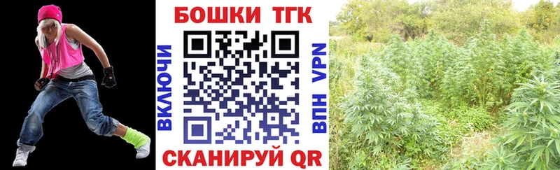 Бошки Шишки THC 21% где можно купить наркотик Фатеж